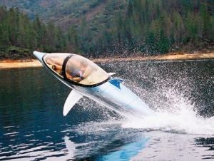 Dolphin Boat